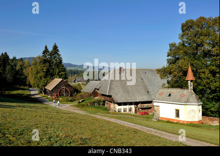 Germania, Foresta Nera, Schwarzwald, Baden-Wuerttemberg, lago Titisee Foto Stock