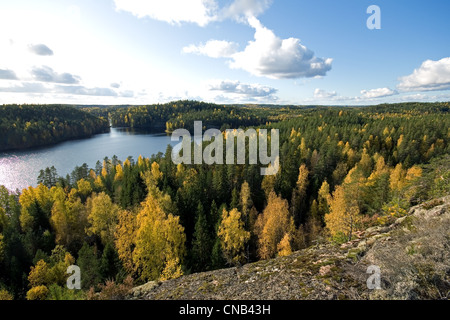 Vista sul Bosco in autunno colori al Repovesi parco nazionale Foto Stock