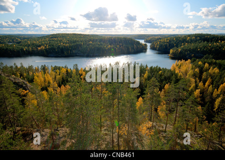 Vista sul Bosco in autunno colori al Repovesi parco nazionale Foto Stock