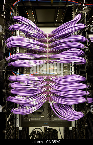 Viola i cavi dati sala computer banca Foto Stock