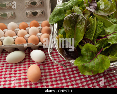 Close up di carni fresche, prodotte localmente le uova di gallina accanto al giardino verdi su un tavolo Foto Stock