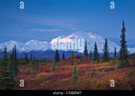 Vista panoramica di Mt. McKinley e l'Alaska Range presi dalla meraviglia Lago campeggio nel Denali National Park & Preserve Foto Stock