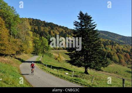 Francia, Haut Rhin, la Route des Cretes vicino al Col du Grand Ballon, Col Amic Foto Stock