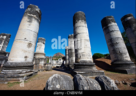 Tempio di Artimis sardi, originariamente la quarta più grande tempio ionico quando fu originariamente costruito nel 300 A.C. Turchia Foto Stock