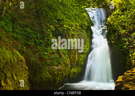 Bridal Veil Falls cascate del Columbia River Gorge, Oregon Foto Stock