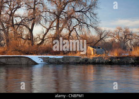 Vecchia tenda per gli uccelli acquatici caccia su Riva del South Platte River, Colorado vicino Greeley, paesaggio invernale Foto Stock