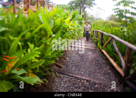 La passerella a lapa rios ecolodge in Costa Rica Foto Stock