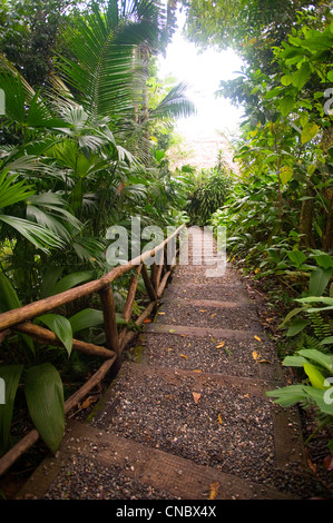 La passerella a lapa rios ecolodge in Costa Rica Foto Stock