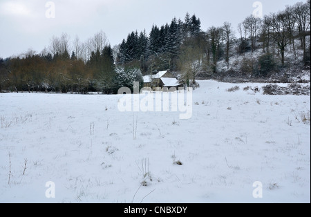 Terreni coltivati sotto la neve, country house, valley piantati con abeti e querce (Nord Mayenne, Pays de la Loire, in Francia, in Europa). Foto Stock