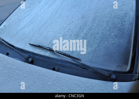 Auto finestra posteriore e tappo ricoperto di ghiaccio su un gelido inverno mattina Foto Stock