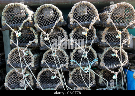 Pic da Mark Passmore/www.markpassmore.com. 08/10/2011. Dettaglio Pic di Lobster Pot Foto Stock