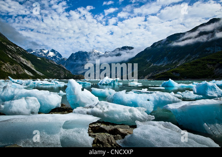 New Scenic 5 posti di iceberg dal ghiacciaio McBride in ingresso Muir, Parco Nazionale di Glacier Bay & preservare, a sud-est di Alaska, estate Foto Stock