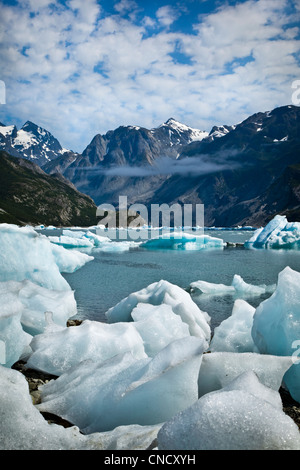 New Scenic 5 posti di iceberg dal ghiacciaio McBride in ingresso Muir, Parco Nazionale di Glacier Bay & preservare, a sud-est di Alaska, estate Foto Stock