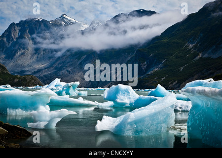 New Scenic 5 posti di iceberg dal ghiacciaio McBride in ingresso Muir, Parco Nazionale di Glacier Bay & preservare, a sud-est di Alaska, estate Foto Stock