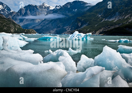 New Scenic 5 posti di iceberg dal ghiacciaio McBride in ingresso Muir, Parco Nazionale di Glacier Bay & preservare, a sud-est di Alaska, estate Foto Stock