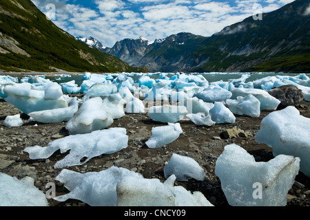 New Scenic 5 posti di iceberg dal ghiacciaio McBride in ingresso Muir, Parco Nazionale di Glacier Bay & preservare, a sud-est di Alaska, estate Foto Stock