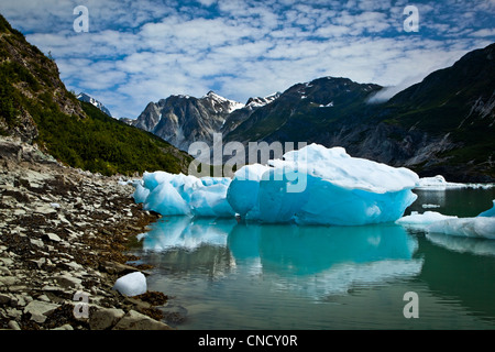 New Scenic 5 posti di iceberg dal ghiacciaio McBride in ingresso Muir, Parco Nazionale di Glacier Bay & preservare, a sud-est di Alaska, estate Foto Stock