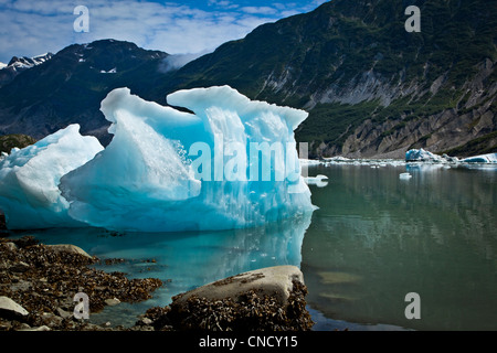 New Scenic 5 posti di iceberg dal ghiacciaio McBride in ingresso Muir, Parco Nazionale di Glacier Bay & preservare, a sud-est di Alaska, estate Foto Stock