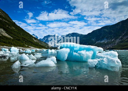 New Scenic 5 posti di iceberg dal ghiacciaio McBride in ingresso Muir, Parco Nazionale di Glacier Bay & preservare, a sud-est di Alaska, estate Foto Stock