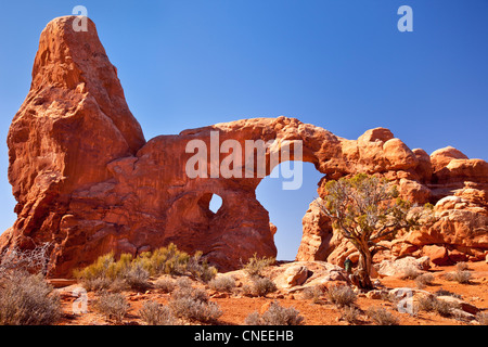 La torretta Arch, Arches National Park nello Utah Stati Uniti d'America Foto Stock