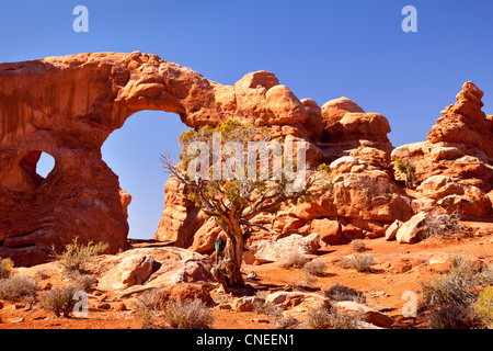 La torretta Arch, Arches National Park nello Utah Stati Uniti d'America Foto Stock