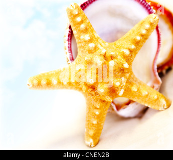 Starfish on the beach, conceptual image of tropical summer vacation and relaxation Foto Stock