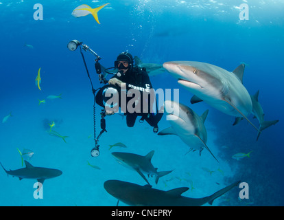 Fotografo subacqueo con gli squali Foto Stock