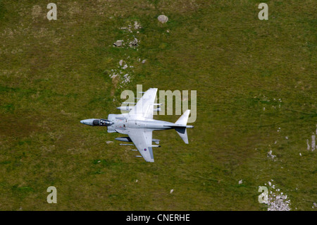 RAF Harrier jet da combattimento dal di sopra su un passo di montagna in Galles Foto Stock