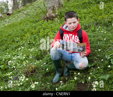 Ragazzo con brochure turistiche mappa sulla vacanza a piedi in North Yorkshire Dales, nei pressi di West Burton, Wensleydale, Richmondshire, REGNO UNITO Foto Stock