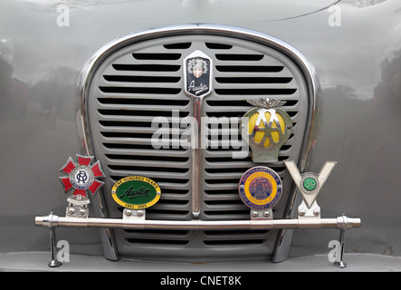 Primo piano dei badge e della griglia frontale di un'auto classica Austin A35, Inghilterra, Regno Unito Foto Stock