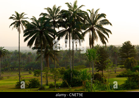 Una sezione del campo da golf a 18 buche presso il Le Meridien Golf Resort di Uyo in Akwa Ibom stato in theNiger delta nel sud della Nigeria Foto Stock