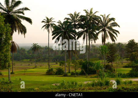 Una sezione del campo da golf a 18 buche presso il Le Meridien Golf Resort di Uyo in Akwa Ibom stato in theNiger delta nel sud della Nigeria Foto Stock