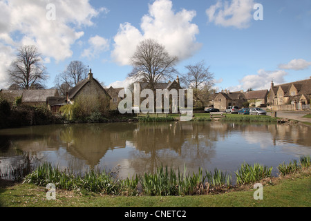 Biddestone villaggio anatra stagno, Wiltshire, Inghilterra, Regno Unito Foto Stock