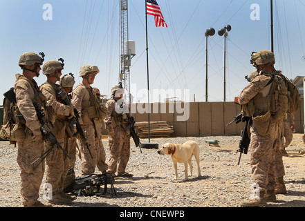 I Marines degli Stati Uniti che servono con la società di golf, il secondo battaglione, il nono reggimento marino, per includere il loro cane improvvisato di rilevamento del dispositivo esplosivo, Cabella, preparano per andare sul turno ai posti di guardia intorno alla base qui 4 aprile 2012. Il colonnello Roger Turner, il comandante della squadra di combattimento regimentale 5, e i membri del suo staff hanno visitato Marines a bordo della base di pattuglia El Paso durante un recente viaggio in diversi avamposti di combattimento nel distretto di Marjah, nella provincia di Helmand. Foto Stock