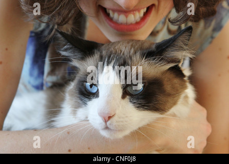 Una giovane donna tenendo un gatto con gli occhi blu. Foto Stock