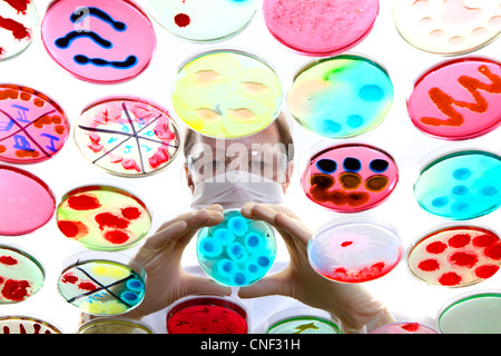 Laboratorio biologico, chimico. Analisi di colture batteriche di batteri in crescita in piastre di Petri. Foto Stock