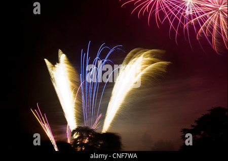 Fuochi d'artificio a uno spettacolo pirotecnico notte Foto Stock