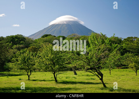 Nicaragua Isla Ometepe sul Lago di Nicaragua Vulcano Concepciòn campi verdi e alberi da frutto in primo piano sulla luminosa giornata di sole Foto Stock