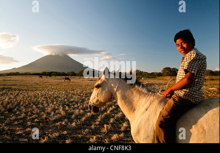 Nicaragua Isla Ometepe Lago Nicaragua giovani cowboy di ottenere il suo bestiame torna alla fattoria di sera vulcano Concepciòn Foto Stock