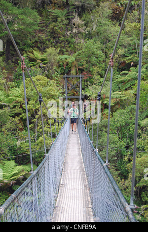 La Buller Gorge Swingbridge Avventura & Heritage Park, Superiore Buller Gorge, Murchison, Tasmania, Isola del Sud, Nuova Zelanda Foto Stock