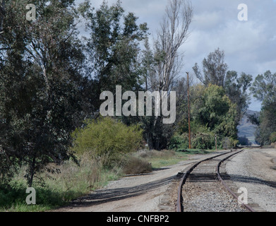 Vecchio, abbandonati i binari della ferrovia attraverso la curva e scomparire al di là di un cavalletto di alberi. Foto Stock