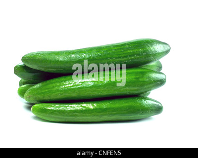 Cetriolo fresco su sfondo bianco Foto Stock
