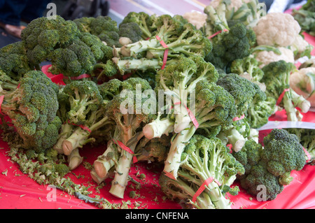 Mazzetti di broccoli in un mercato degli agricoltori sulla Upper East Side di New York City Foto Stock