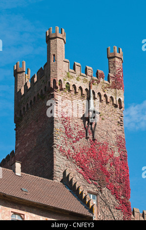 Il Mittelburg medio (castello) in Neckarsteinach, Germania. Foto Stock