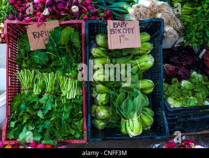 Prodotti freschi per la vendita presso la Santa Barbara, California, Farmers Market. Foto Stock