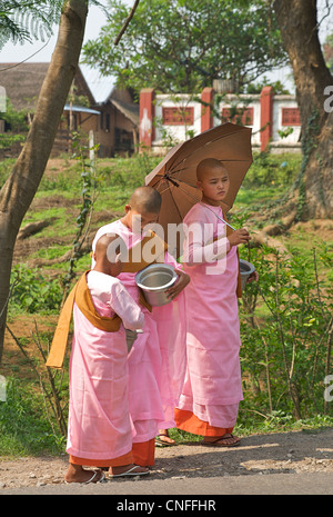 Il debuttante monache buddiste raccogliendo elemosine, Hsipaw, Birmania. Myanmar Foto Stock