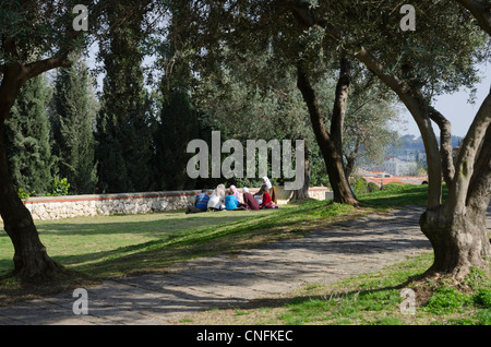 Alberi di ulivo (Olea europaea) nel giardino del Getsemani, Mount of  Olives, Gerusalemme, Israele, Medio Oriente Foto stock - Alamy