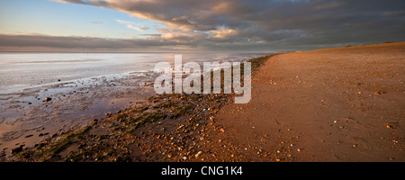 L'impostazione ottobre sole proietta una luce calda sulla spiaggia con la bassa marea nel lavaggio a Snettisham, Norfolk, Regno Unito Foto Stock