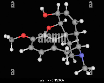 Codeina molecola di farmaco Foto Stock