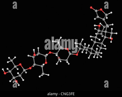 Digossina molecola di farmaco Foto Stock